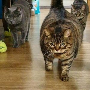 Meet your Posher, Michelle